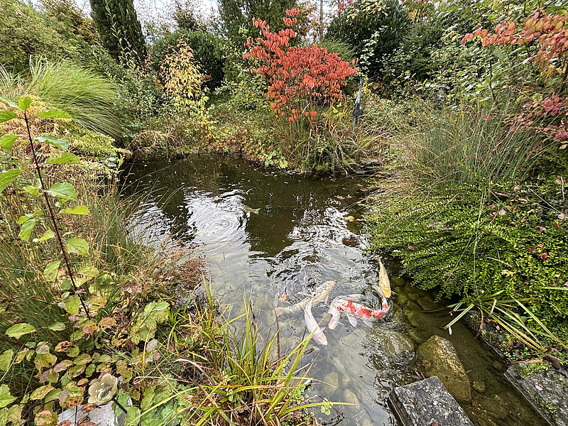 Besondere Villa in idyllischer Feldrandlange von Spenge!
