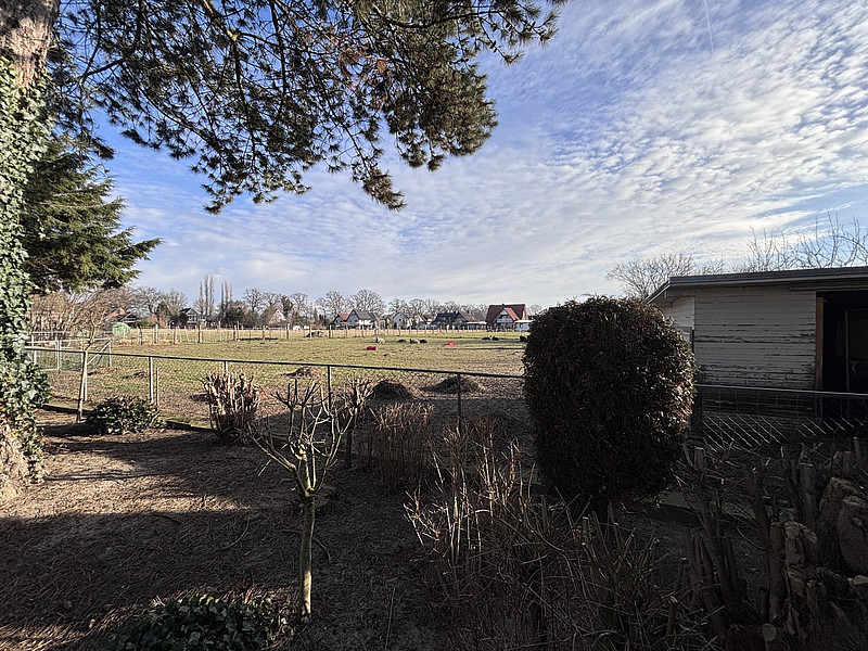 Einladendes Wohnhaus mit Potenzial in schöner Wohnlage