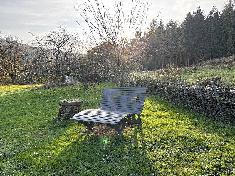 Großzügiges Wohnensemble im Grünen!