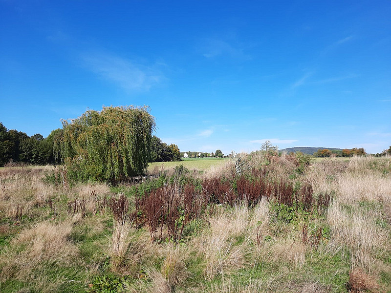 Elegantes Wohnen auf tollem Baugrundstück mit Weitblick in B.O.-Wulferdingsen!!