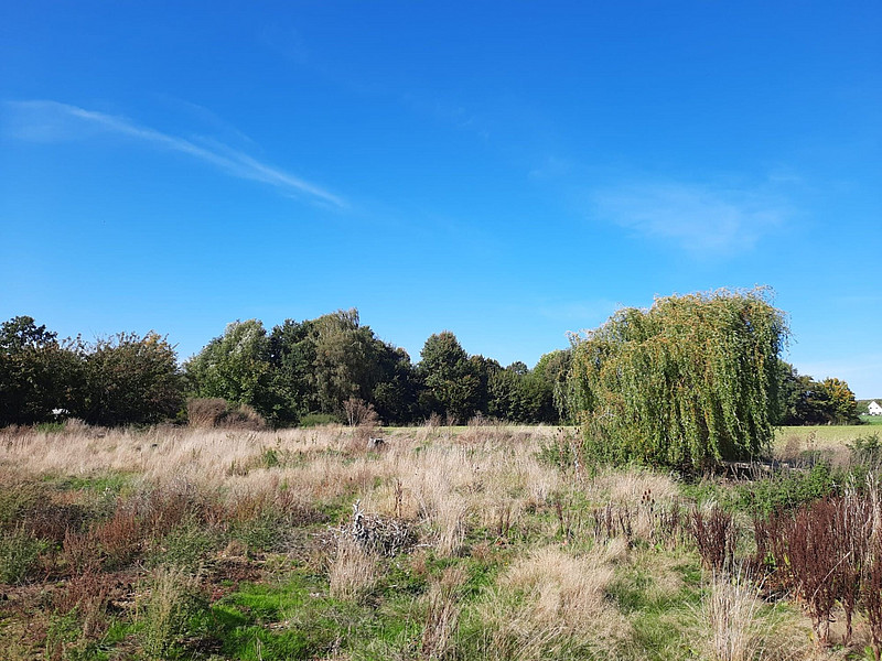 Außergewöhnliche Stadtvilla in begehrter Lage von Wulferdingsen!